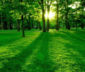 小孩发烧什么消炎药好用（孩子发烧用什么药消炎）