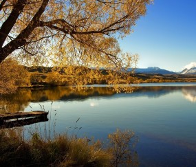 促卵泡生成激素1.27（促卵泡生成激素高怎么调理）
