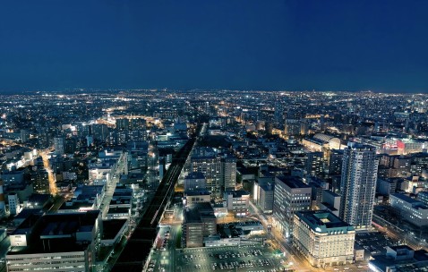 为啥会卵泡不发育（什么原因导致卵泡不发育）