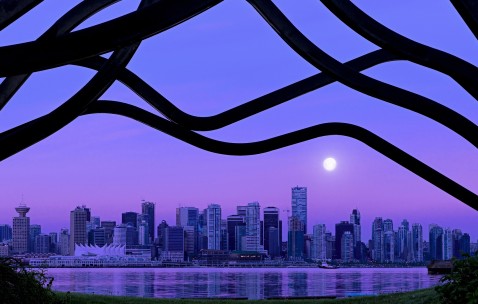 卵泡发育不好的结果（卵泡发育不好导致不孕该怎么办）