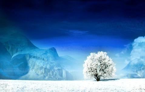 小孩发烧与脑膜炎（小孩发烧脑膜炎症状）