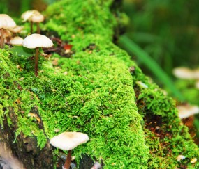 十岁小孩有点发烧怎么办（十岁小孩有点发烧怎么办吃什么药）