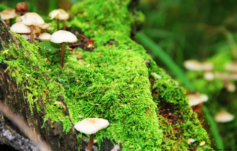 福州正规供卵机构名单汇总，供卵全流程花费明细！（福州总院可以做供卵试管婴儿吗）