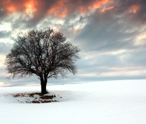 七岁小孩长水痘发烧（七岁小孩水痘发烧头疼怎么办）