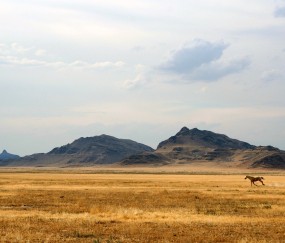 我打了小孩一直发烧是怎么回事（我打了孩子就发烧怎么办）