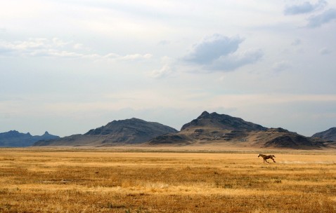 监测卵泡啥时候去（监测卵泡是什么时候开始去检测呢）