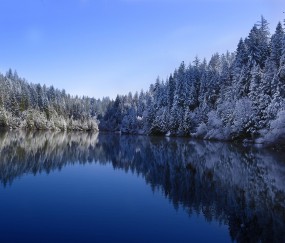 小孩发烧两天时好时坏（孩子发烧两天后又发烧怎么回事）
