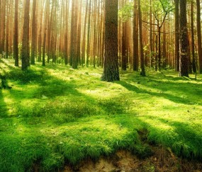 长摊岛小孩发烧（小孩长牙是不是会发烧）