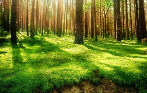 南昌供卵试管中心名单大全，哪里找本地供卵医院！