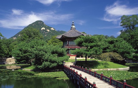 试管怎么监测卵泡质量（试管怎么检查）