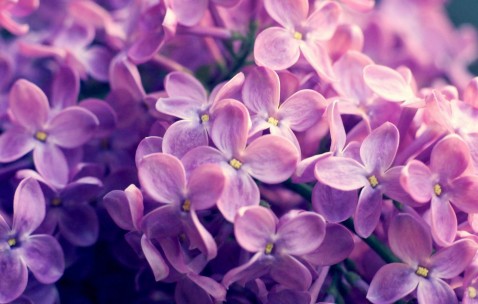 小孩发烧多长时间好（小孩发烧多久算正常）