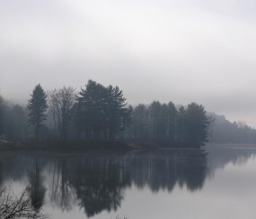 小孩发烧杀菌么（宝宝发烧是杀菌吗）