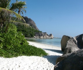 小孩发烧可以喝豚汤吗（宝宝发烧可以喝猪肉汤吗）