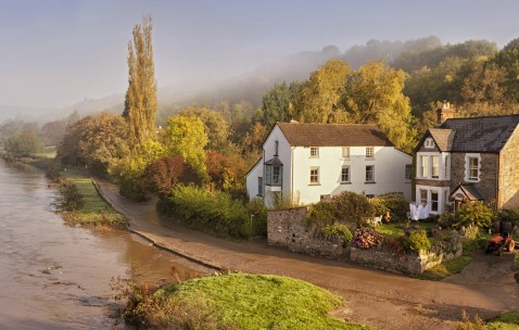 内膜厚度7.4卵泡期（卵泡7*8,内膜7cm）
