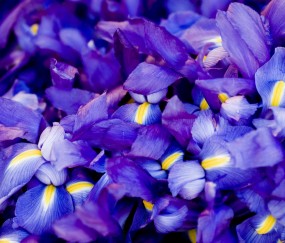 卵泡10x9（卵泡10*7还需要几天成熟）