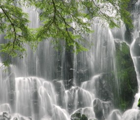 10号卵泡1.81.8（10号卵泡1411,12号查不见了）