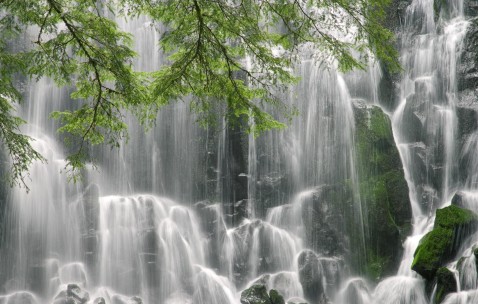 小孩发烧应吃的什么（小孩发烧应吃的什么水果）