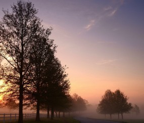 怎么做对卵泡好（卵泡怎么养能长出优势卵泡）