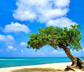 卵泡多少可以打hcg（卵泡长到多少可以打绒促）