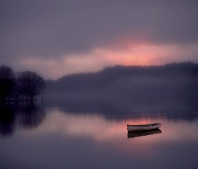 卵泡位于哪个组织结构（卵泡在卵巢内还是卵巢外）
