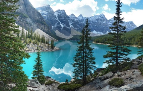 小孩突然发烧又吐是怎么回事（孩子突然发烧吐是什么原因）