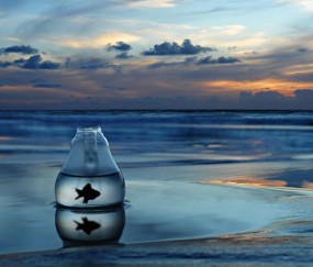 男生内裤上有绿色卵泡（男生内裤上有绿色卵泡是什么）