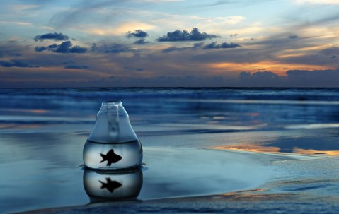 南昌总计6家正规供卵试管医院，附2024成功率最高的供卵试管机构名单！