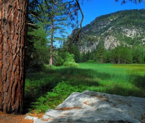 卵泡涨到23质量好吗（卵泡长到了23*13没破还有机会吗）