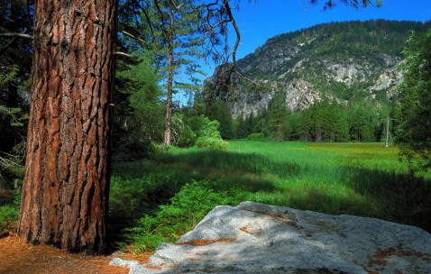 南昌供卵试管婴儿的费用和流程全攻略，2024合法供卵生殖中心前三榜单！