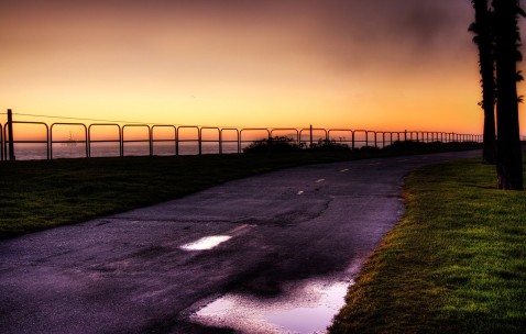 月经14天卵泡12.5（月经第十四天卵泡12）