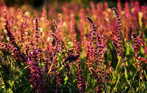 南昌供卵试管婴儿的费用和流程全攻略，供卵助孕各阶段费用参考！