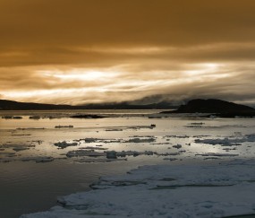小孩发烧大便很稀（小孩发烧拉粑粑有点稀是什么原因）