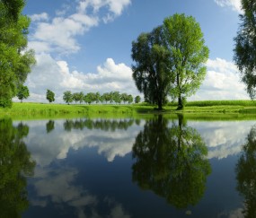 卵泡F1512（卵泡长多大才算成熟卵泡,才能怀孕）