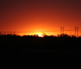 排卵卵泡会缩小吗（排卵泡会怀孕吗）