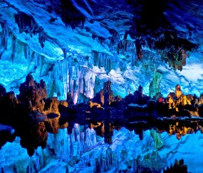 卵巢里卵泡0.60.6（卵巢里卵泡数量是固定的吗）