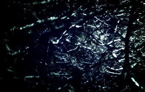 卵泡右侧1.5左侧0.9（右侧卵泡18*18）