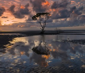 小孩发烧睡觉一惊一乍怎么回事（孩子发烧睡着了总是一惊一惊的）