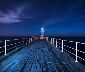 薄荷上黑色的卵泡（薄荷上长黑斑）