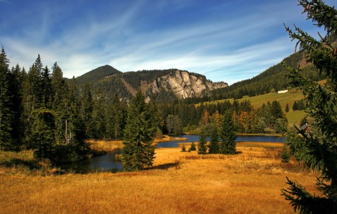 小孩发烧能吃煎肉（小孩子发烧能不能吃肉之类的）