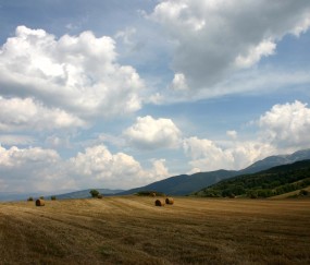 小孩发烧拉肚子不吃饭怎么办啊（宝宝发烧拉稀不吃饭怎么办）