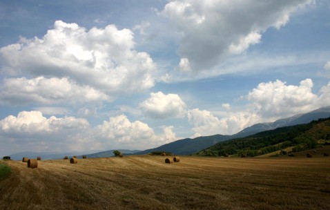 豆浆能促进卵泡生长（吃豆浆真的可以帮助长卵泡?）