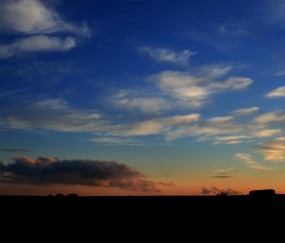 小孩发烧吃胡萝卜马蹄粥吗（发烧可以喝红萝卜马蹄水吗）