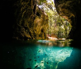 泰国试管一般几次成功