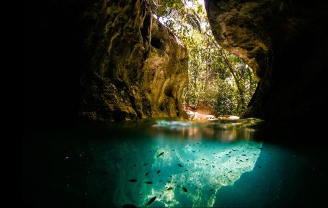 泰国试管一般几次成功