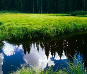小孩经常发烧对心脏（小孩发烧引起心脏问题多久能恢复）