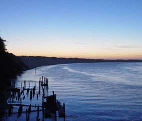 阴超卵泡数量范围（阴超检查卵泡数量）