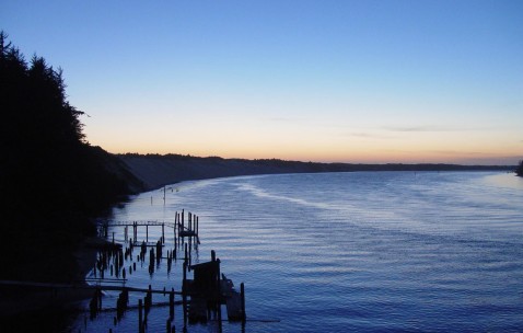 排卵障碍试管成功率（排卵障碍试管成功率有多高）