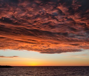 小孩发烧但是后背全是汗（小孩发烧但是后背全是汗水怎么办）